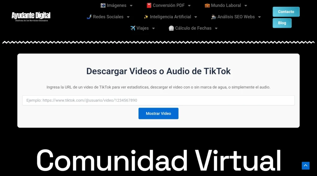 Analizador Videos de Tiktok y Descarga Videos Tiktok
